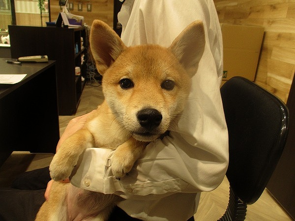 写真