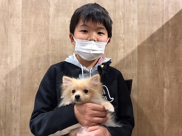 写真