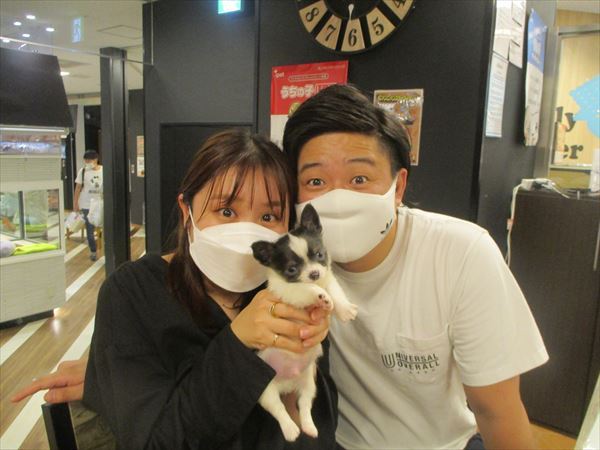 写真
