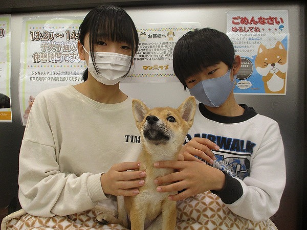 写真