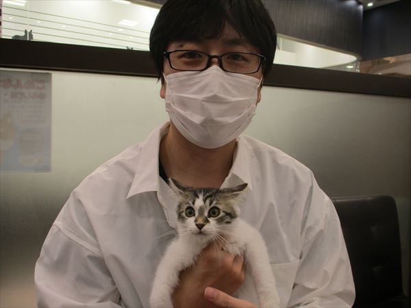 写真