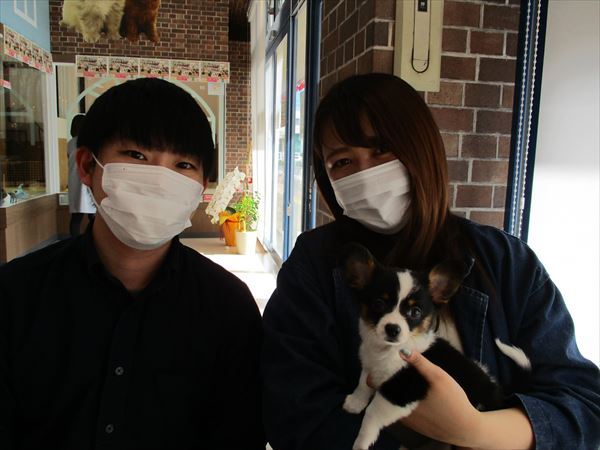 写真