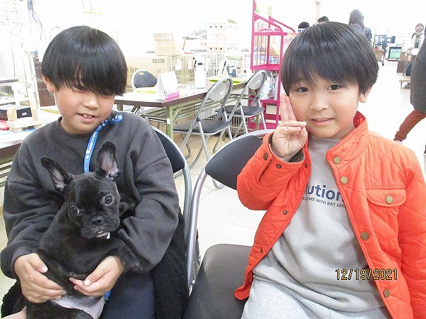 写真