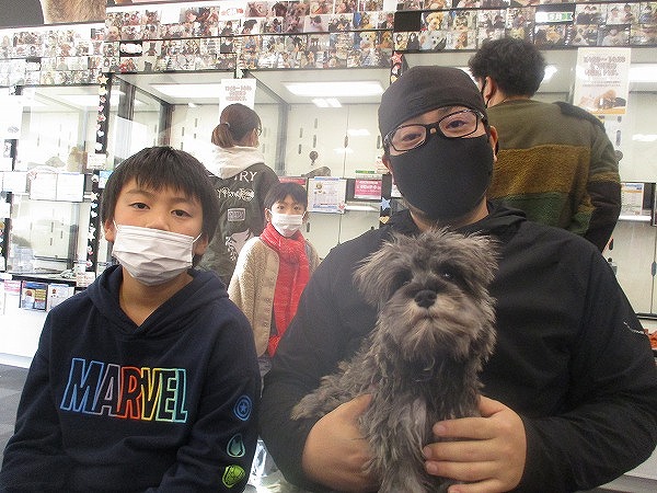 写真