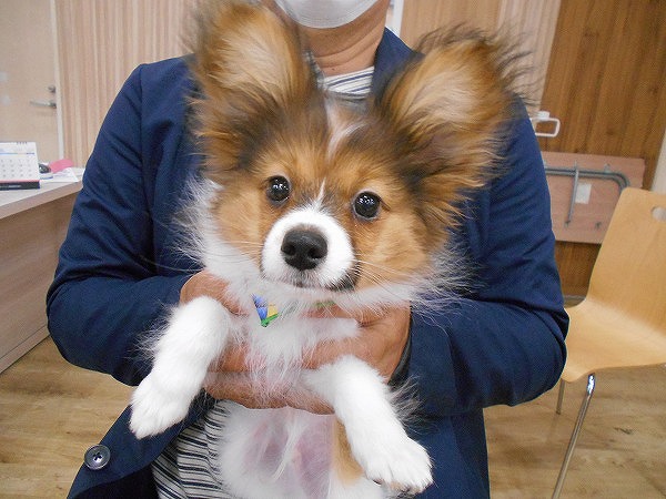 写真