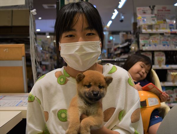写真