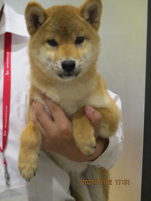 写真