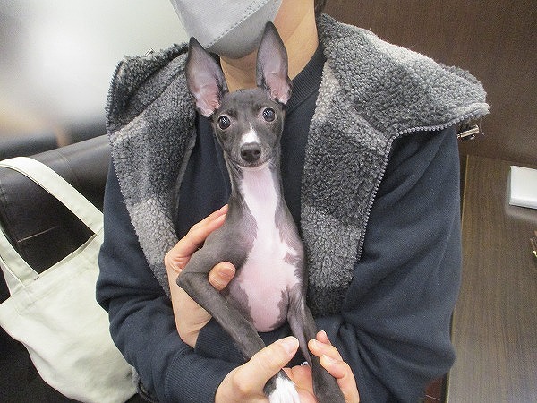 写真