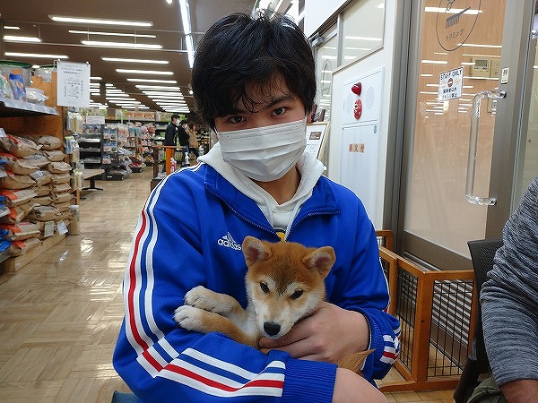 写真