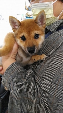 写真