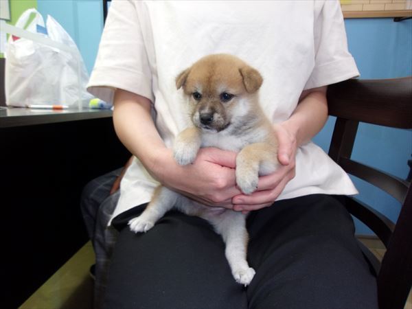 写真