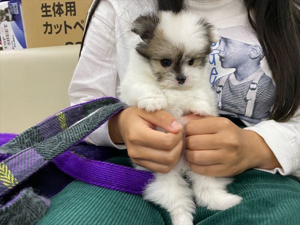 写真