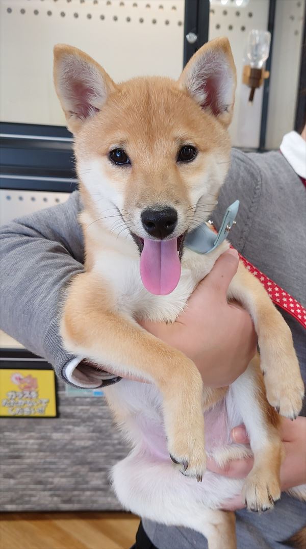 写真