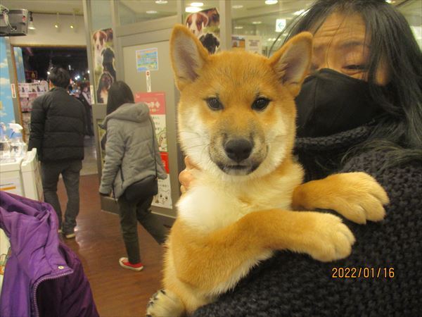 写真