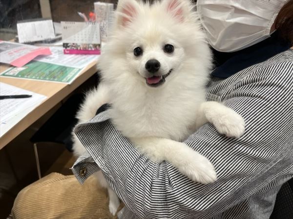 写真