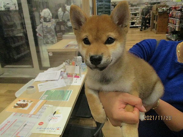 写真