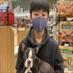 写真