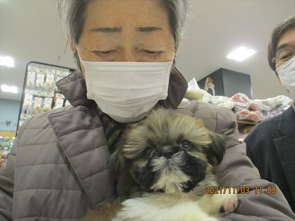写真