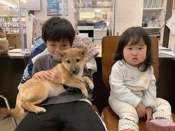 写真