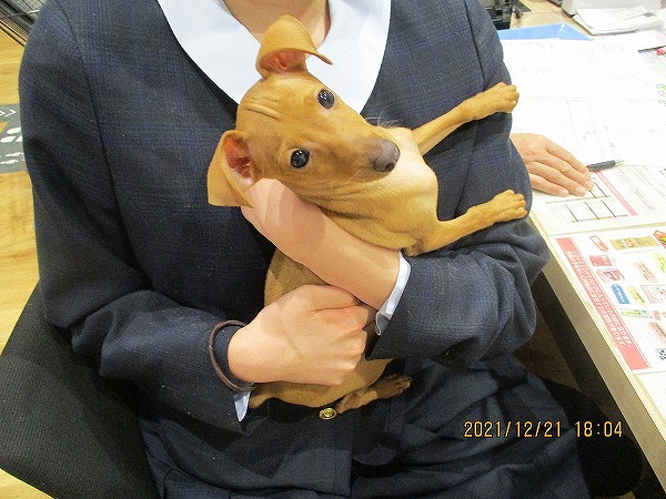 写真