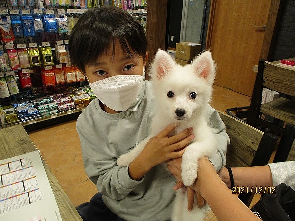 写真