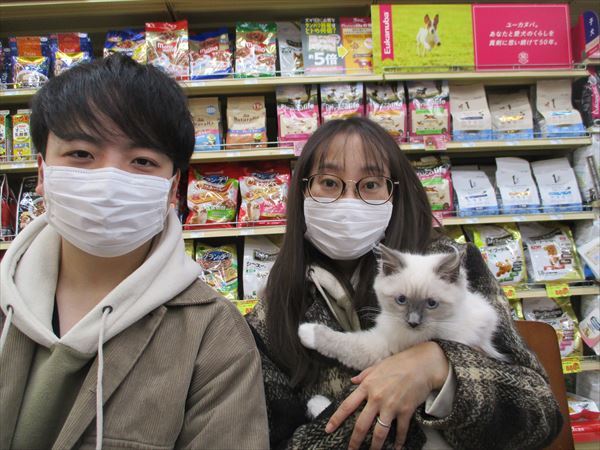 写真