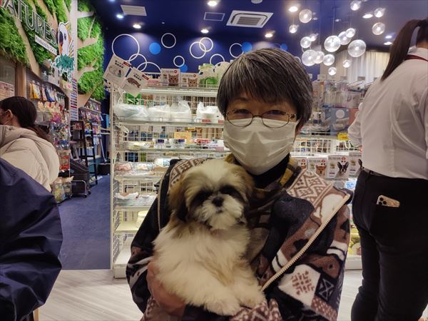 写真
