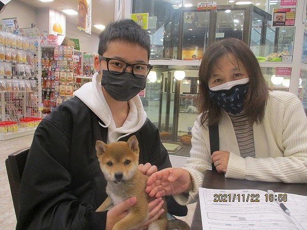 写真