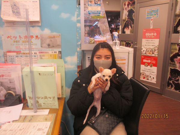 写真