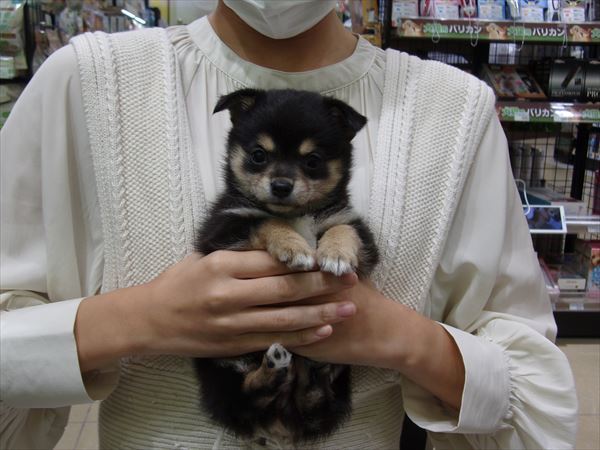 写真