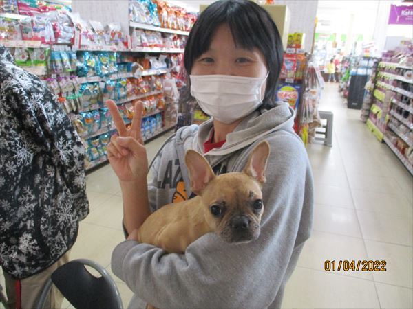写真