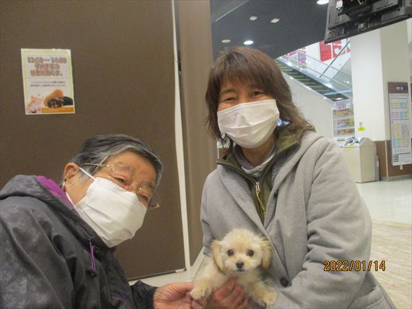 写真