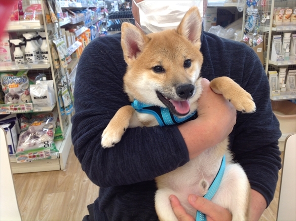 写真