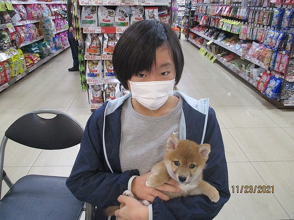 写真
