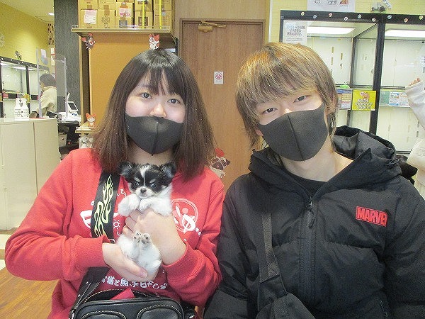 写真