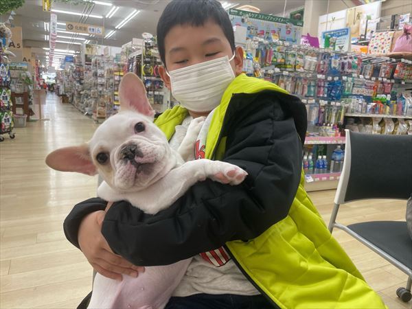 写真