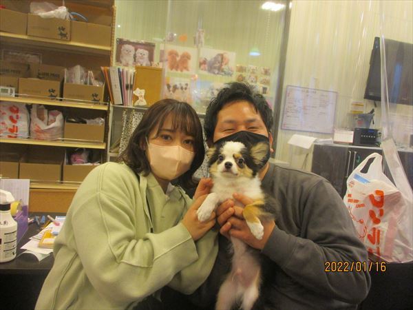 写真
