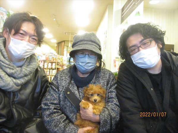 写真