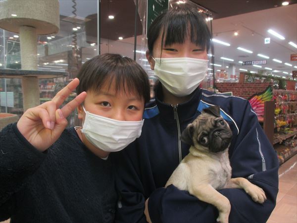 写真