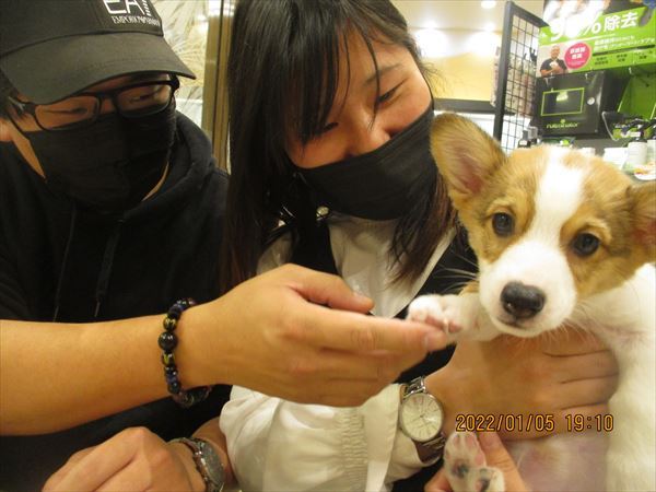 写真