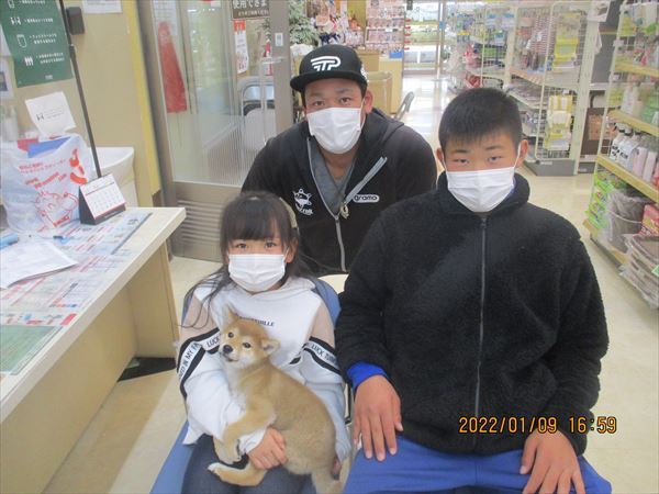 写真