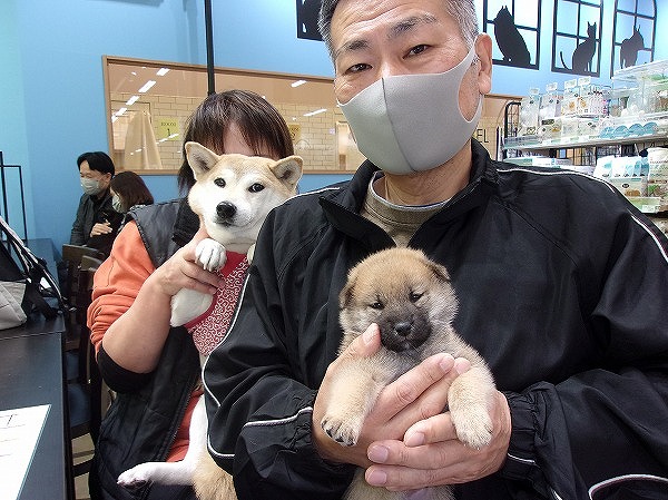 写真