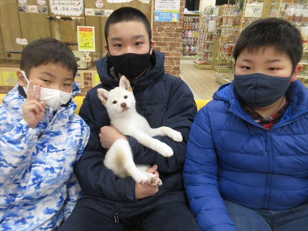 写真