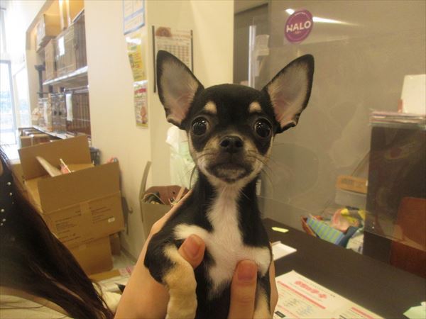 写真