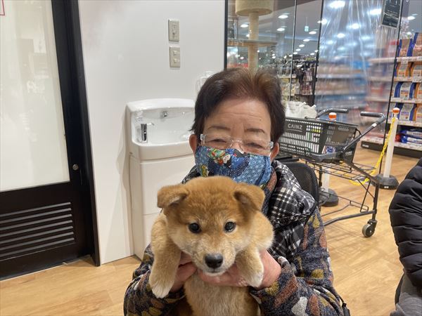 写真