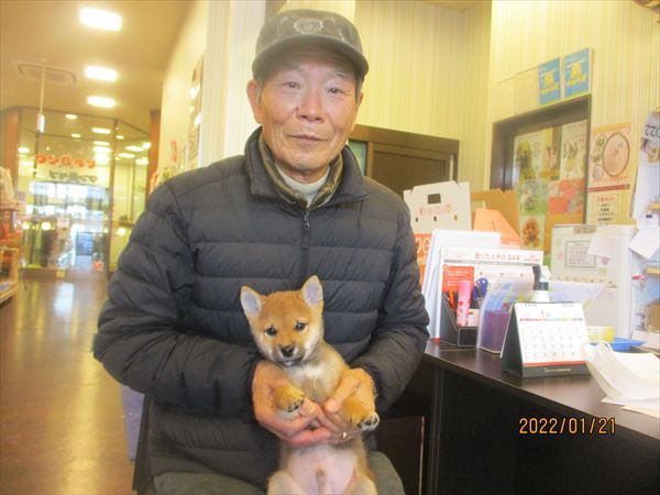写真