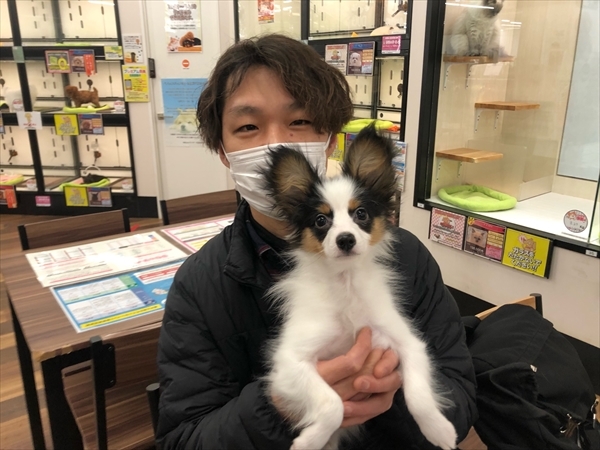 写真