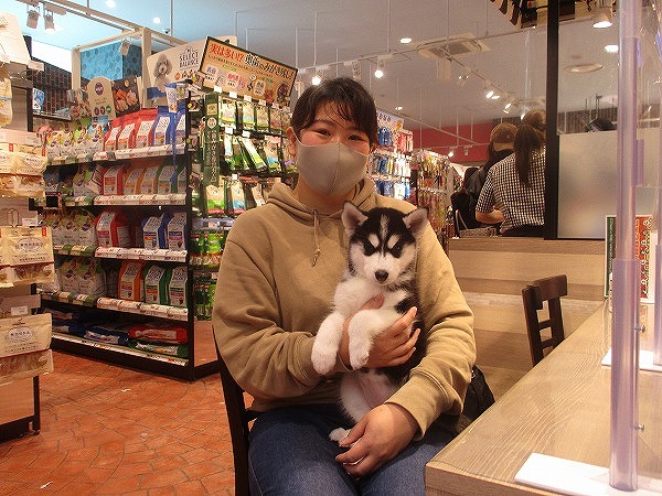写真