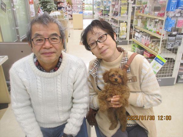 写真