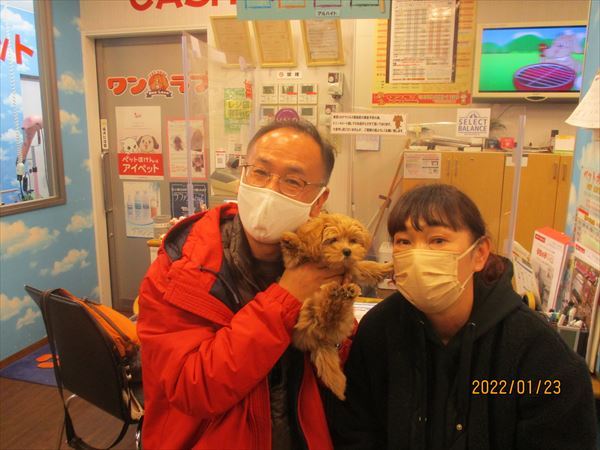 写真